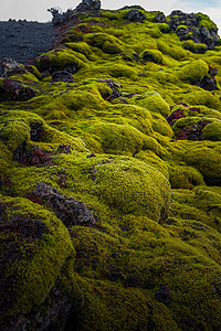 冰岛火山岩地质植被背景图片