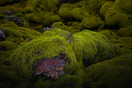 冰岛火山岩地质植被背景图片