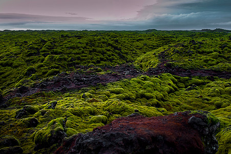 冰岛火山岩地质植被图片