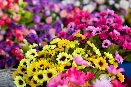 五颜六色的花朵鲜花背景