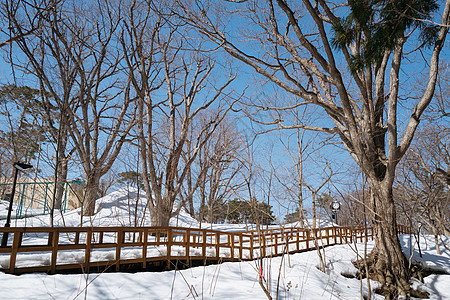 日本北海道札幌圆山动物园雪景高清图片