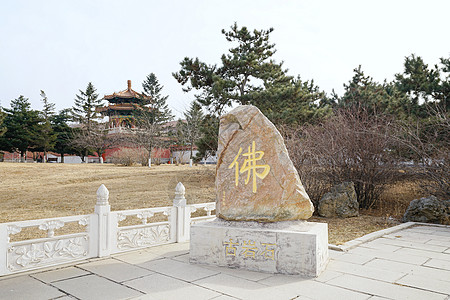 鞍山玉佛寺玉佛碑背景