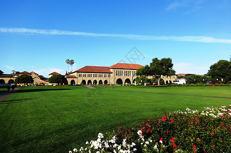 美国西部行斯坦福大学背景图片