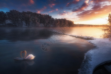 中国风雪梦幻天鹅湖背景