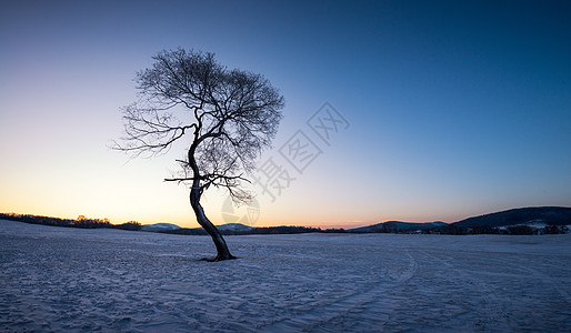 冬天雪景风光图片