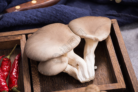 菌类食材平菇在木盒里图片