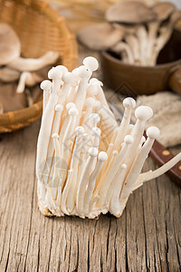 菌类白玉菇图片