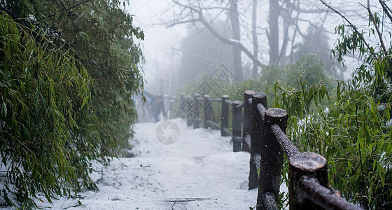 峨眉山雪景图片