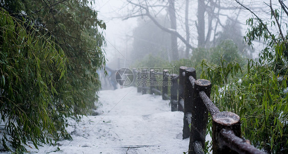 峨眉山雪景图片