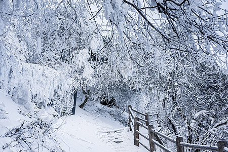 峨眉山雪景图片