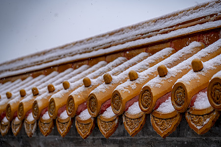 地坛公园雪飘宫殿背景