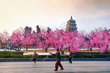 大雁塔广场西安大雁塔背景