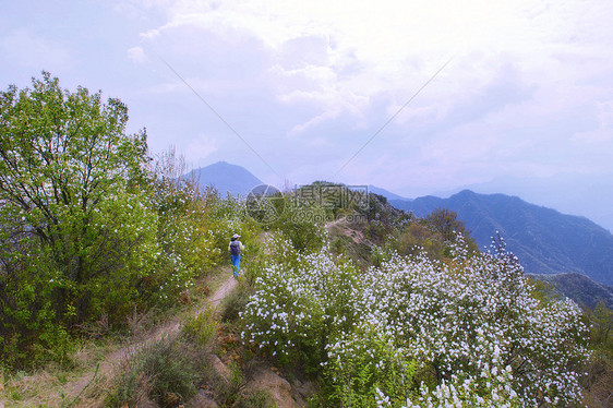 秦岭风光图片