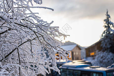 峨眉山雪景5A景点冬天白高清图片