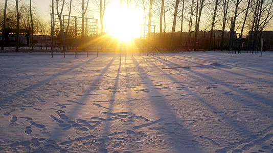 穿过树林阳光冬日暖阳背景