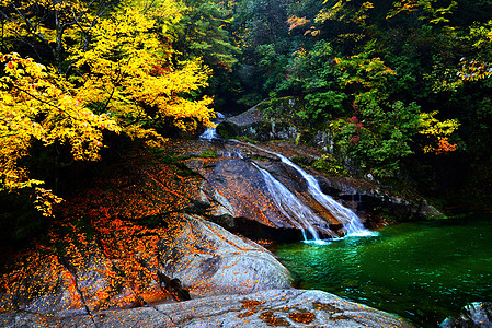 红叶山光雾山风景背景