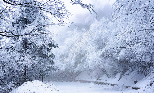 峨眉山雪景图片