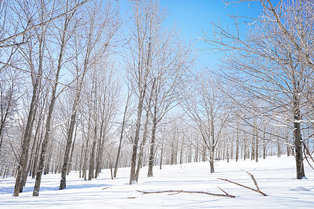 雪乡雪谷穿越背景