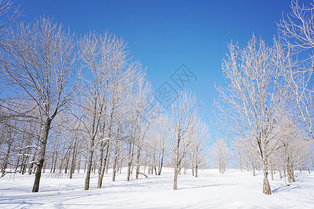 雪乡雪谷穿越背景