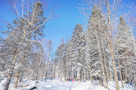 雪乡雪谷穿越背景