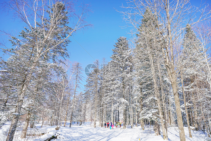 雪乡雪谷穿越图片