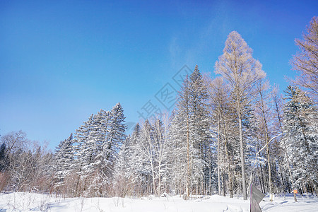 雪乡雪谷穿越高清图片