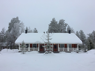 芬兰洛瓦涅米森林中的雪屋图片