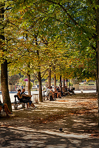 法国卢森堡公园背景图片
