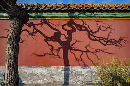 北京景山公园寿皇殿图片