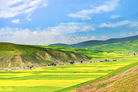 青海湖门源风景背景图片