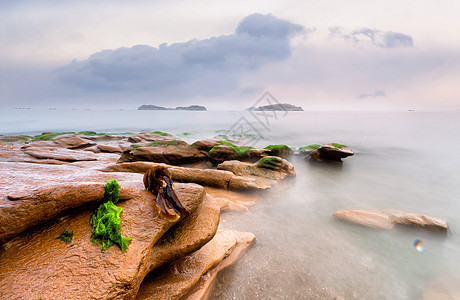 海岸绿苔图片