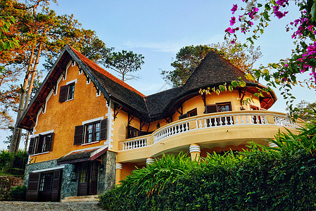 大叻安娜曼德拉法式别墅图片