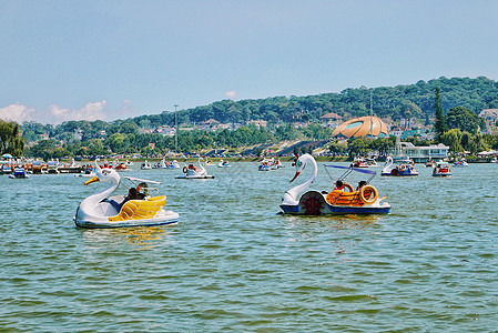 越南大叻春香湖湖面游船图片