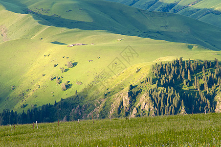 新疆草原牧场山地背景图片