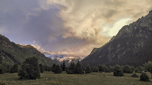 新疆山区自然草场背景图片