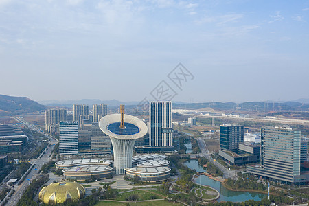 武汉地标建筑马蹄莲图片