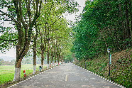韶山旅游风景区图片