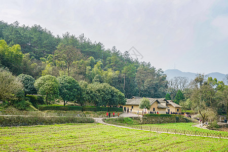 毛泽东故居背景