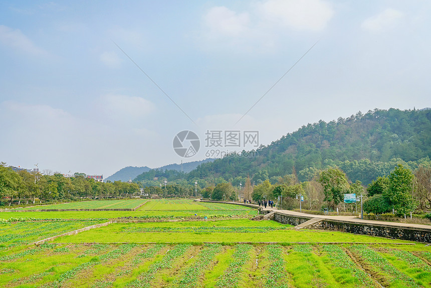 韶山田园风光图片