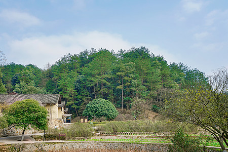 毛泽东故居背景