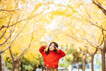 毛衣背景秋天银杏树下的可爱女孩背景