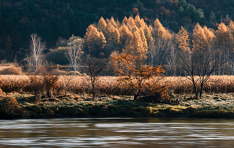 秋天的风景枫村高清图片素材