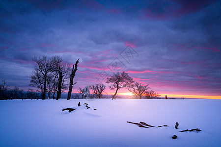 冬天雪景风光图片