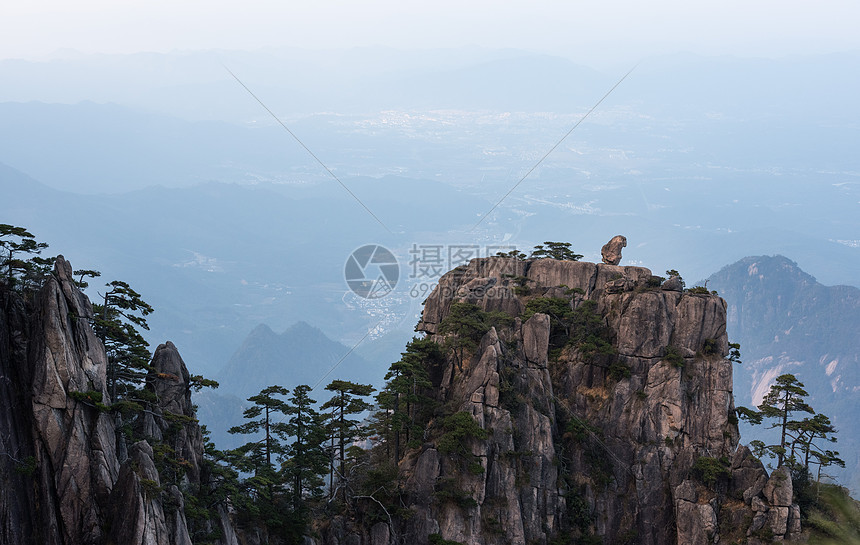 黄山石猴图片