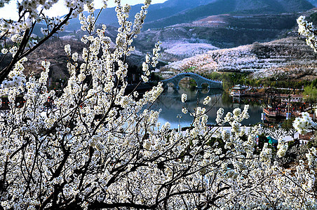 樱桃谷风景图片