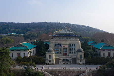 武汉大学地标行政楼背景图片