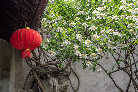 花草纸江苏扬州汪氏小苑春季风光背景