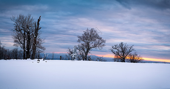 冬水墨冬日暖阳雪景背景