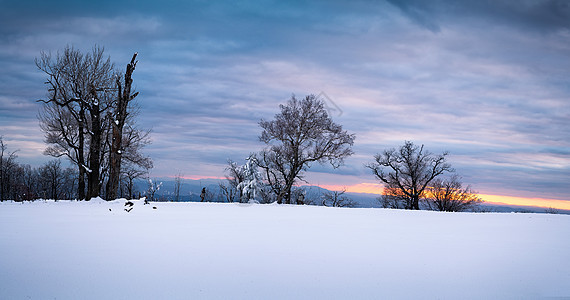 冬日暖阳雪景图片