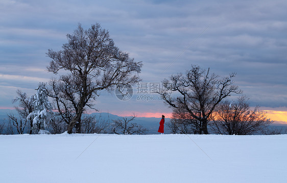 冬日暖阳雪景图片